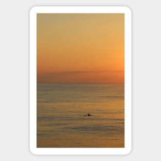 Dolphin with Beautiful Sunrise Sticker